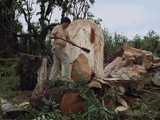 Adrián Balseca in collaboration with Segundo Teodoro Ruíz - Project for a portrait (On The Origin of Intriduced Species), 2016, Video still 10’05” (loop)