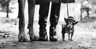 ©Elliott Erwitt - Central Park, New York, 1974