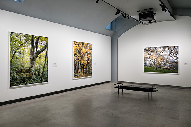 Mitch Epstein. American Nature, installation view, Gallerie d'Italia, Torino. Photo credit: Andrea Guermani