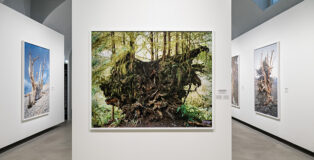 Mitch Epstein. American Nature, installation view, Gallerie d'Italia, Torino. Photo credit: Andrea Guermani