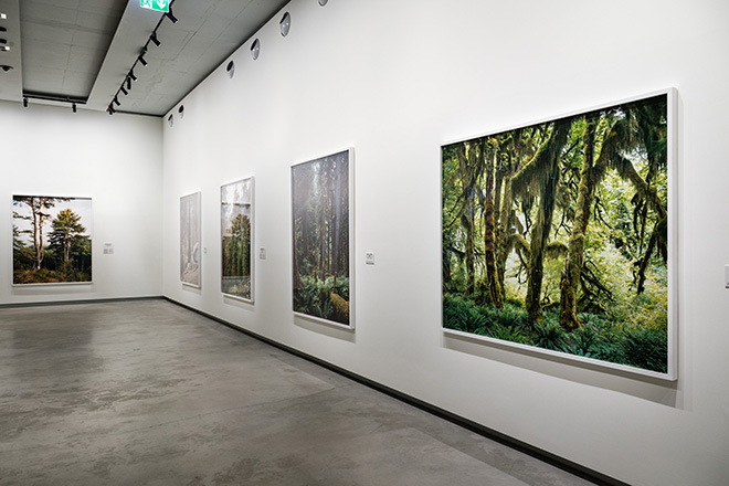 Mitch Epstein. American Nature, installation view, Gallerie d'Italia, Torino. Photo credit: Andrea Guermani