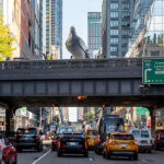 Iván Argote – “Dinosaur”, High Line Plinth, New York