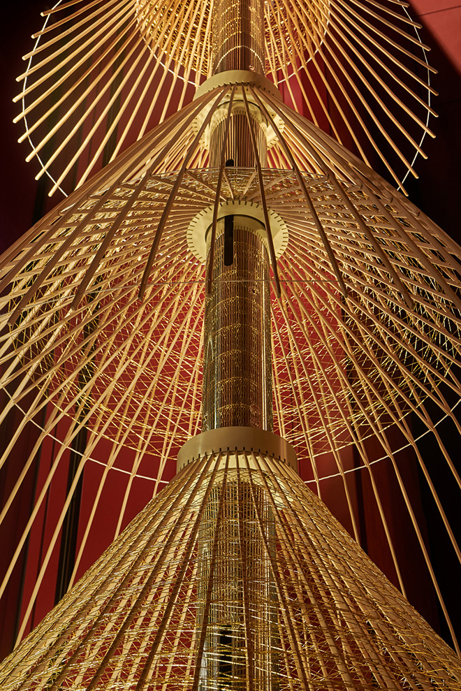 Image of Tree from below. Photo credit: Masayuki Hayashi