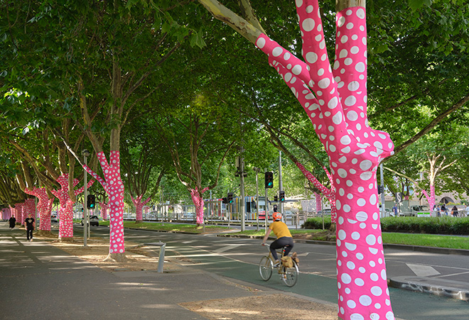 Yayoi Kusama’s Ascension of Polka Dots on the Trees, 2002/2024, on display along St Kilda Road, Melbourne for the National Gallery of Victoria’s Yayoi Kusama exhibition until 21 April 2025. © YAYOI KUSAMA.Photo: Sean Fennessy