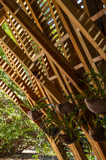 CCA | Bernardo Quinzaños - Orchid Pavilion for Casa Wabi. Photo credit: Rafael Gamo