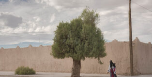 PETER YDEEN (USA) / Courtesy All About Photo - A Woman a Baby and a Tree. Series: Waiting for Palms. 1st place winner AAP Magazine #45: Travels