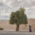 PETER YDEEN (USA) / Courtesy All About Photo - A Woman a Baby and a Tree. Series: Waiting for Palms. 1st place winner AAP Magazine #45: Travels