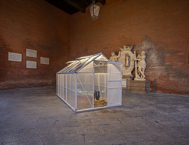 Matteo Mandelli, Luca Baldocchi - Progetto Fioriture Sintetiche, installazione site-specific