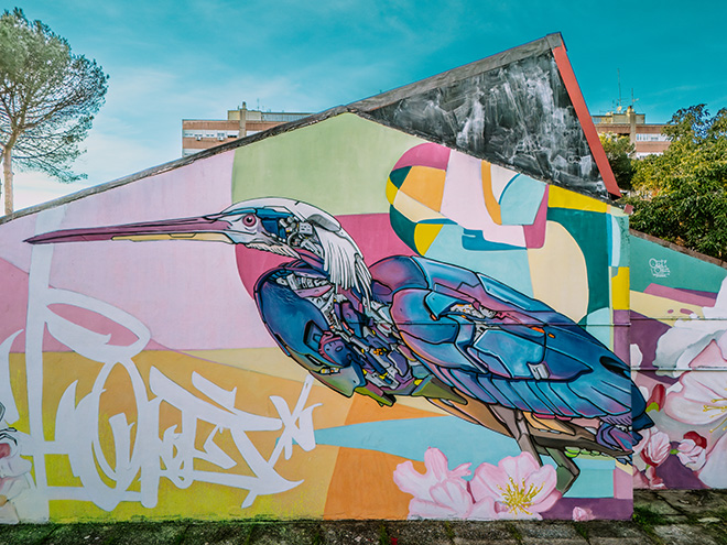 Orghone - Natura contaminata al Laurentino 38 di Roma. Foto di Virgilio D'Ercole (a.DNA collective)