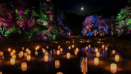 teamLab - Hidden Traces of Rice Terraces Hot Spring