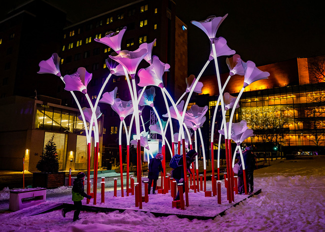 Trumpet Flowers by Amigo and Amigo. Photo credit: JF Savaria