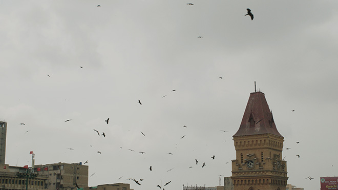 Elisa Caldana - Il falco di Karachi