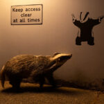 Wildlife Photographer of the Year People’s Choice Award 2024 – Ian Wood trionfa con lo scatto intitolato “No Access”