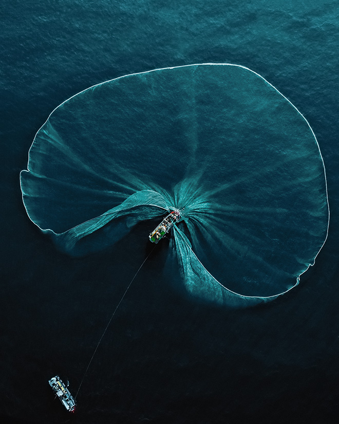 ©Robert Middleton - Fishermen harvesting anchovies, Phu Yen, Vietnam, Gold Prize. Category: People and Nature