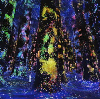 teamLab Phenomena – Abu Dhabi si apre all’arte immersiva