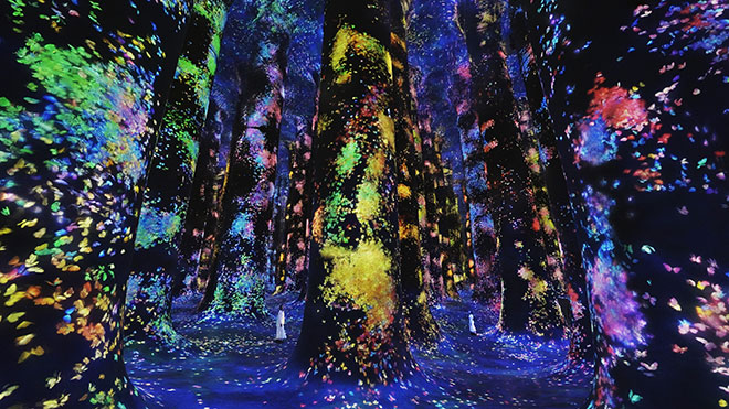 teamLab Phenomena – Abu Dhabi si apre all’arte immersiva